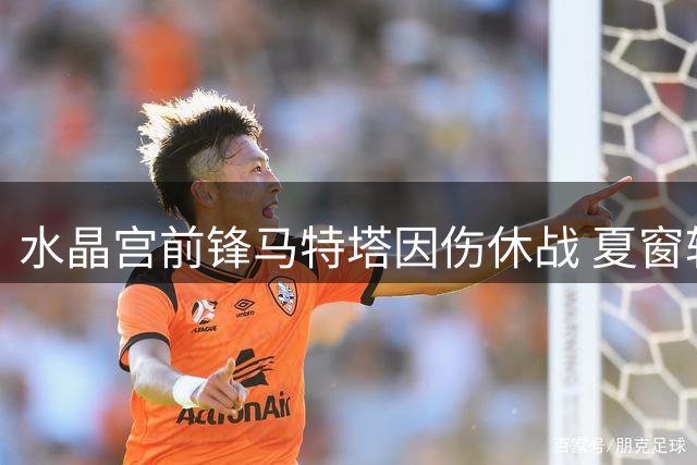 水晶宫前锋马特塔因伤休战 夏窗转会可能性降低